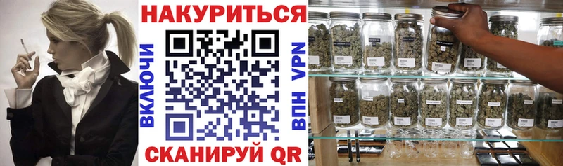 мориарти телеграм  МЕГА   Асбест  Бошки марихуана семена 